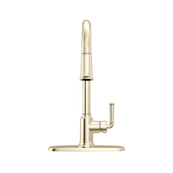 Single Handle Kitchen Pull-Down Faucet