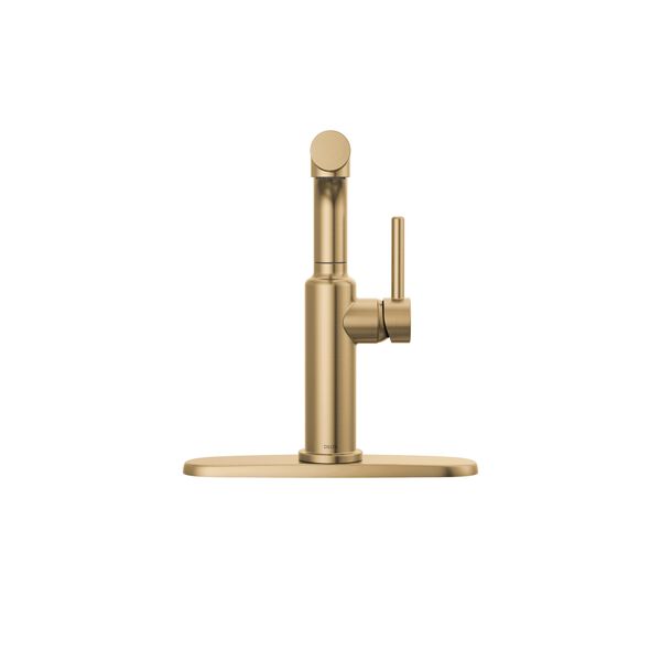 Pull-Out Kitchen Faucet (Recertified)