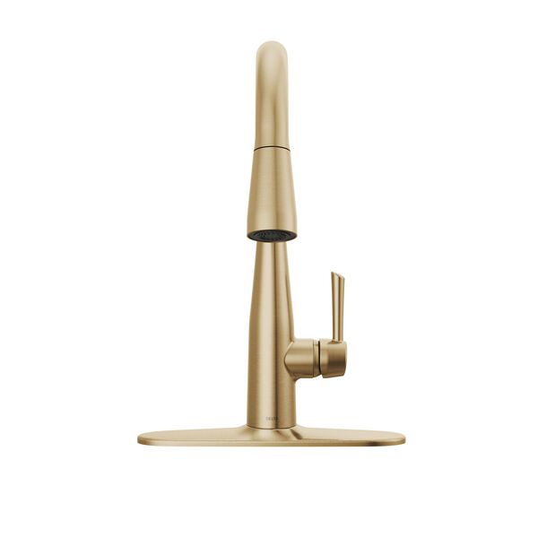 Pull-Down Kitchen Faucet  (Recertified)