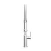 Single Handle Pull-Down Kitchen Faucet With Spring Spout