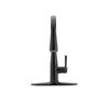 Single Handle Pull-down Kitchen Faucet (Recertified)