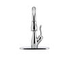 Single Handle Pull-Down Kitchen Faucet with ShieldSpray&reg; Technology
