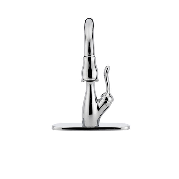 Single Handle Pull-Down Kitchen Faucet with ShieldSpray&reg; Technology