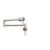 Contemporary Wall Mount Pot Filler